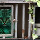 Illustration for article titled Caturday - Its Not Easy Being Green Edition
